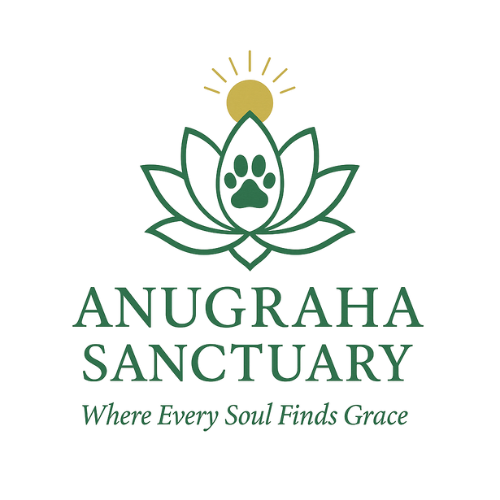 Anugraha Ecosystem